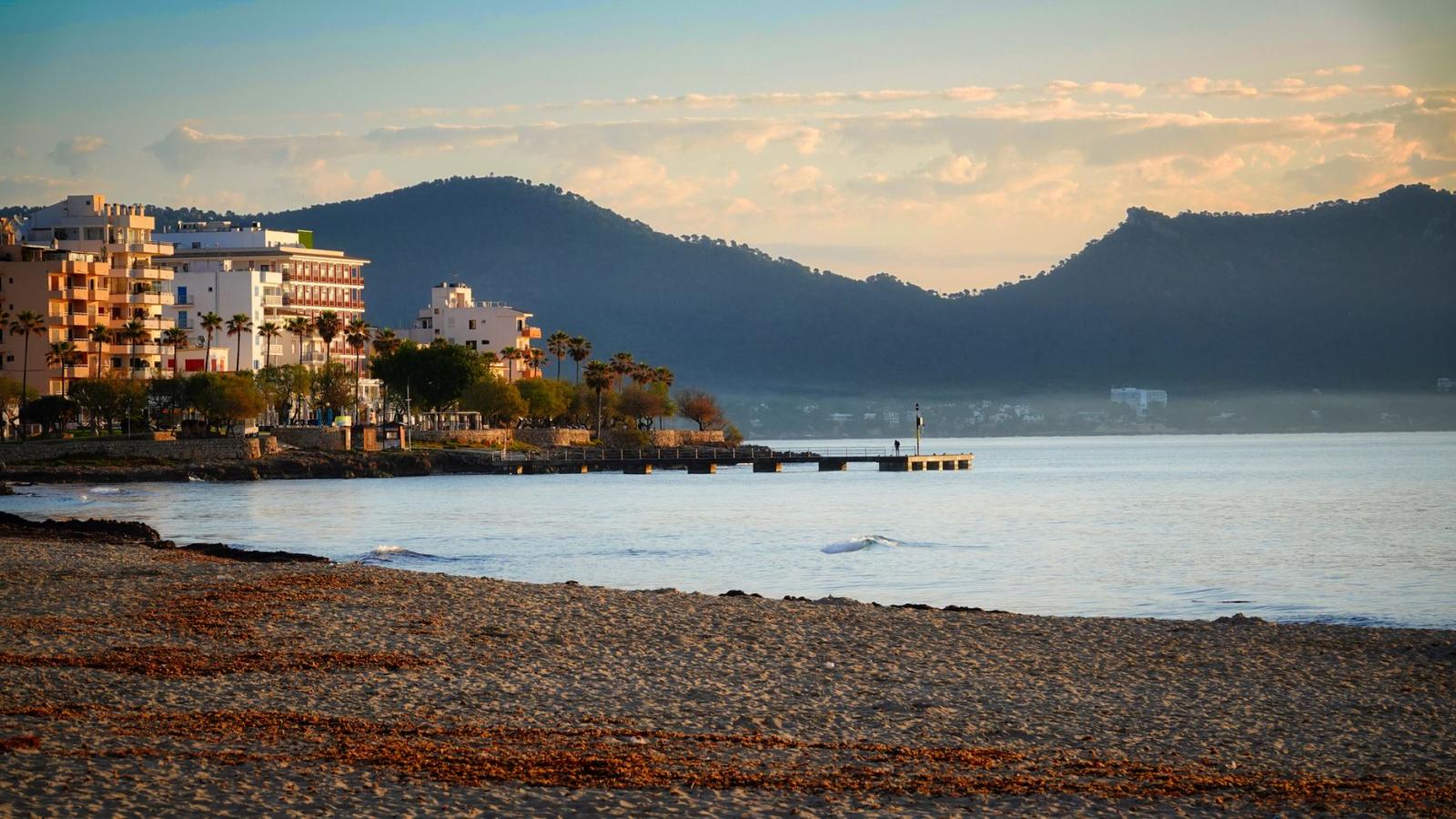 Mallorca mit Hund: Reisetipps und hundefreundliche Fincas