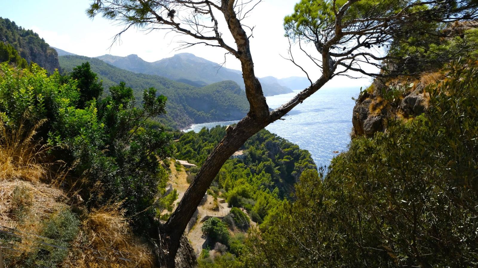 Leichte Wanderungen für Familien auf Mallorca: Belohnung inklusive